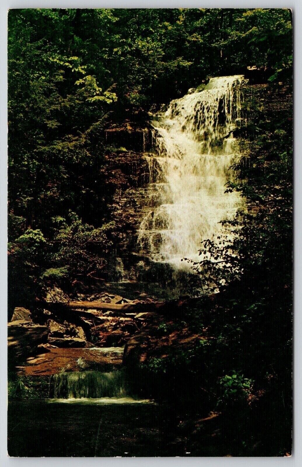 Waterfall Turkey Path Leonard Harrison State Park Pennsylvania PA Postcard UNP
