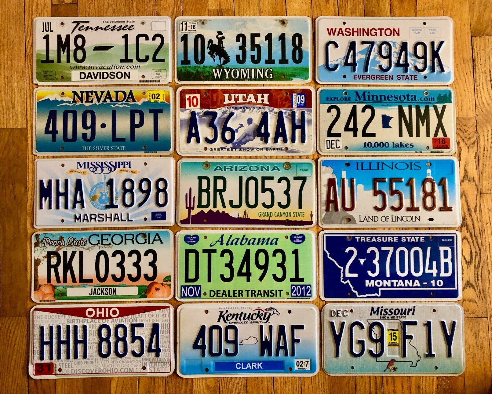 Set of 15 Colorful/Graphic License Plates From 15 Different States