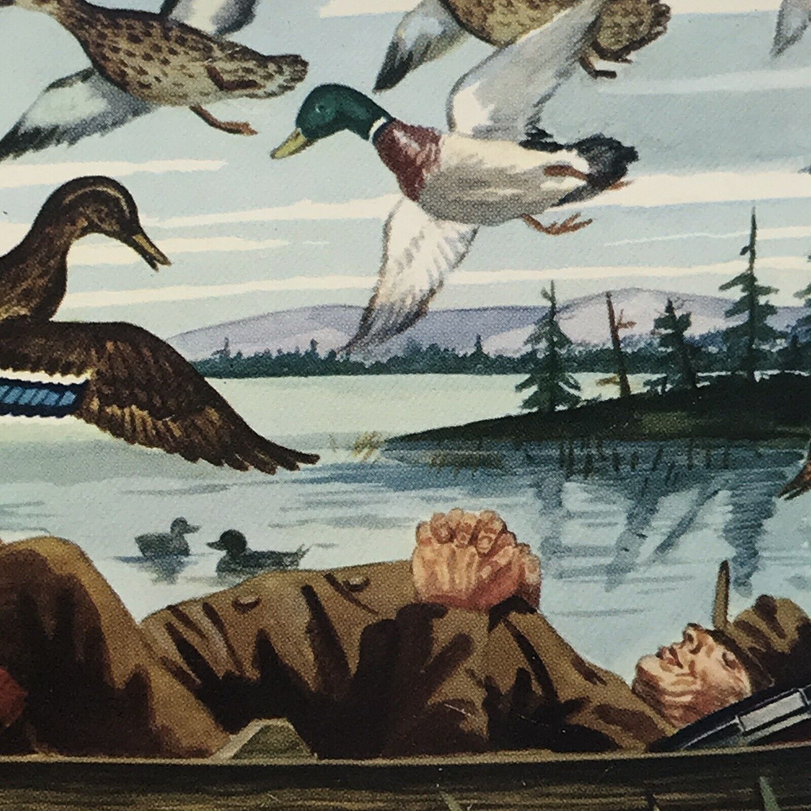 Duck Hunter Napping Humor Vintage Postcard Mallard Lake Scene Sleeping Man