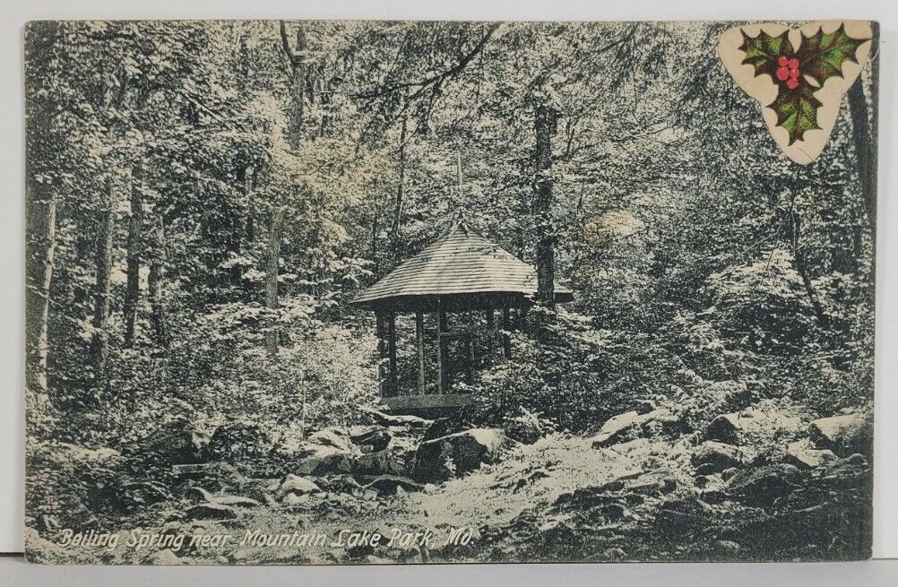 MD Boiling Spring Near Mountain Lake Park Maryland c1907 Postcard Q17