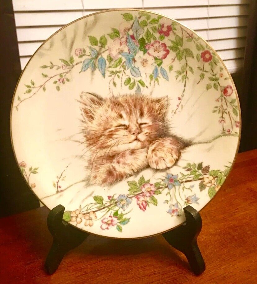 Adorable Royal Worcester Cat Nap Limited Edition Plate 1st in Kitten Classics.