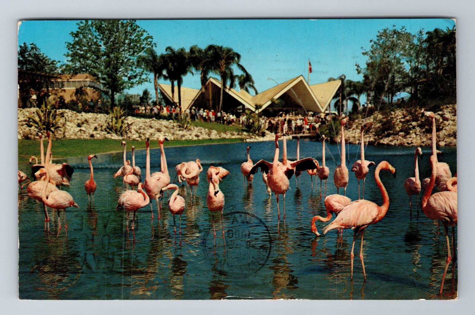 Tampa FL-Florida, Busch Gardens, Antique, Vintage c1960 Souvenir Postcard