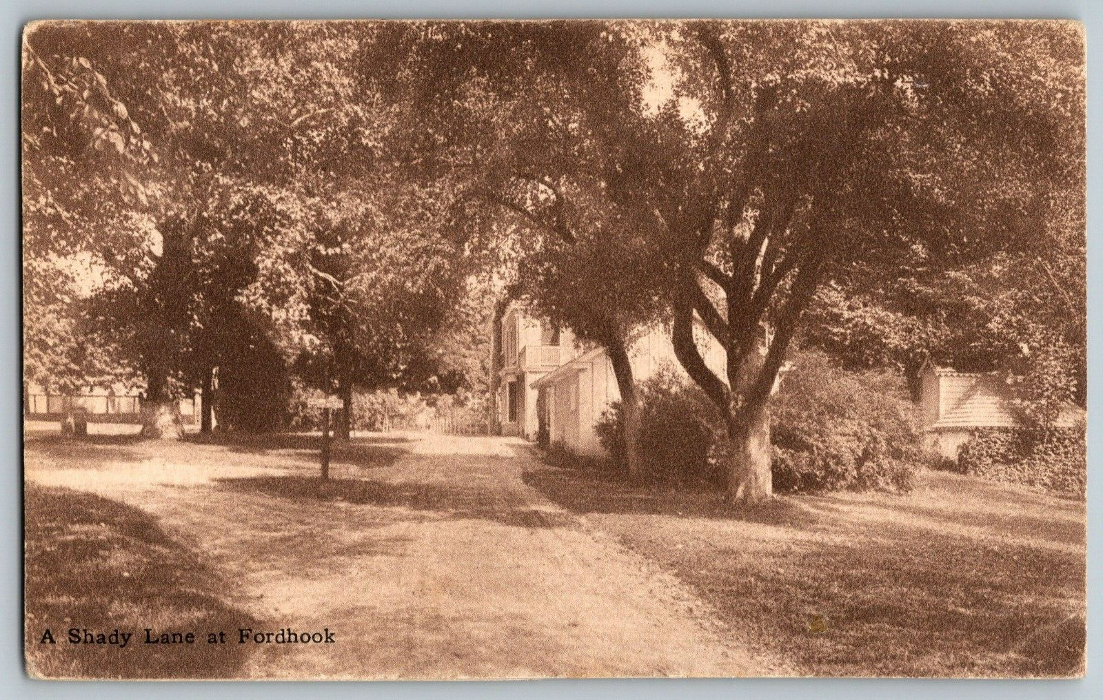 A Shady Lane at Fordhook - Vintage Postcard - Posted 1907