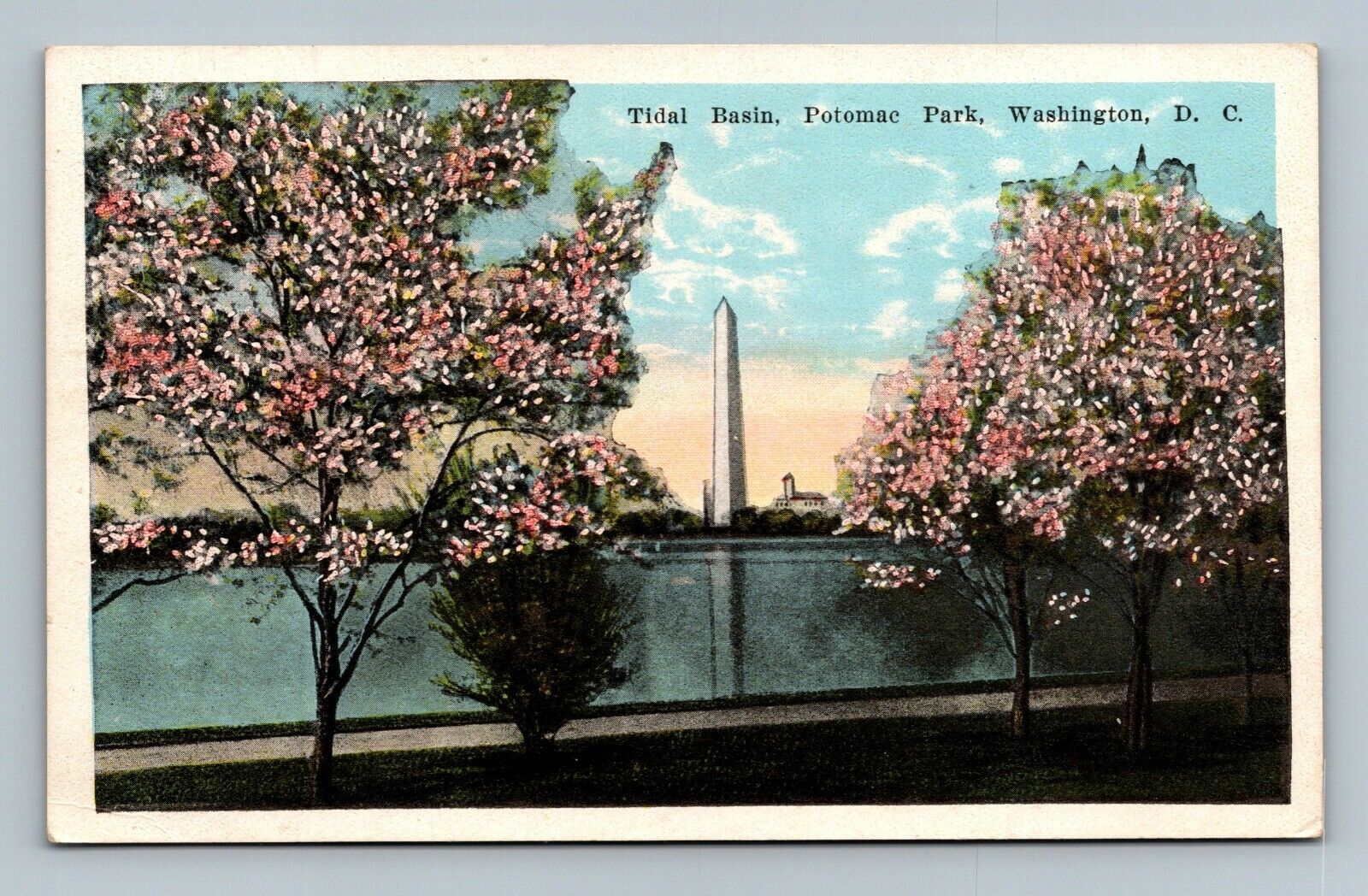 Postcard Washington DC Tidal Basin Potomac Park UNPOSTED