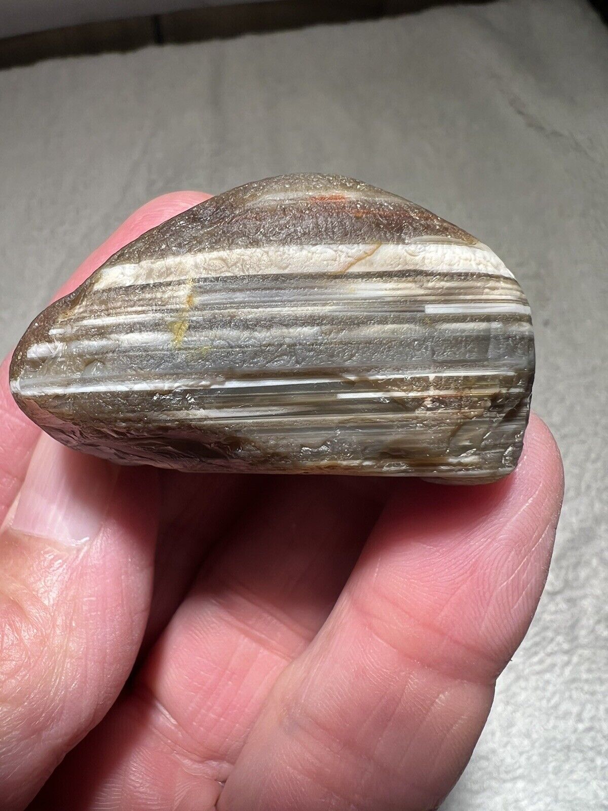 2.2 Oz Lake Superior Water Level Agate With Unusual Dark Grey And White Banding