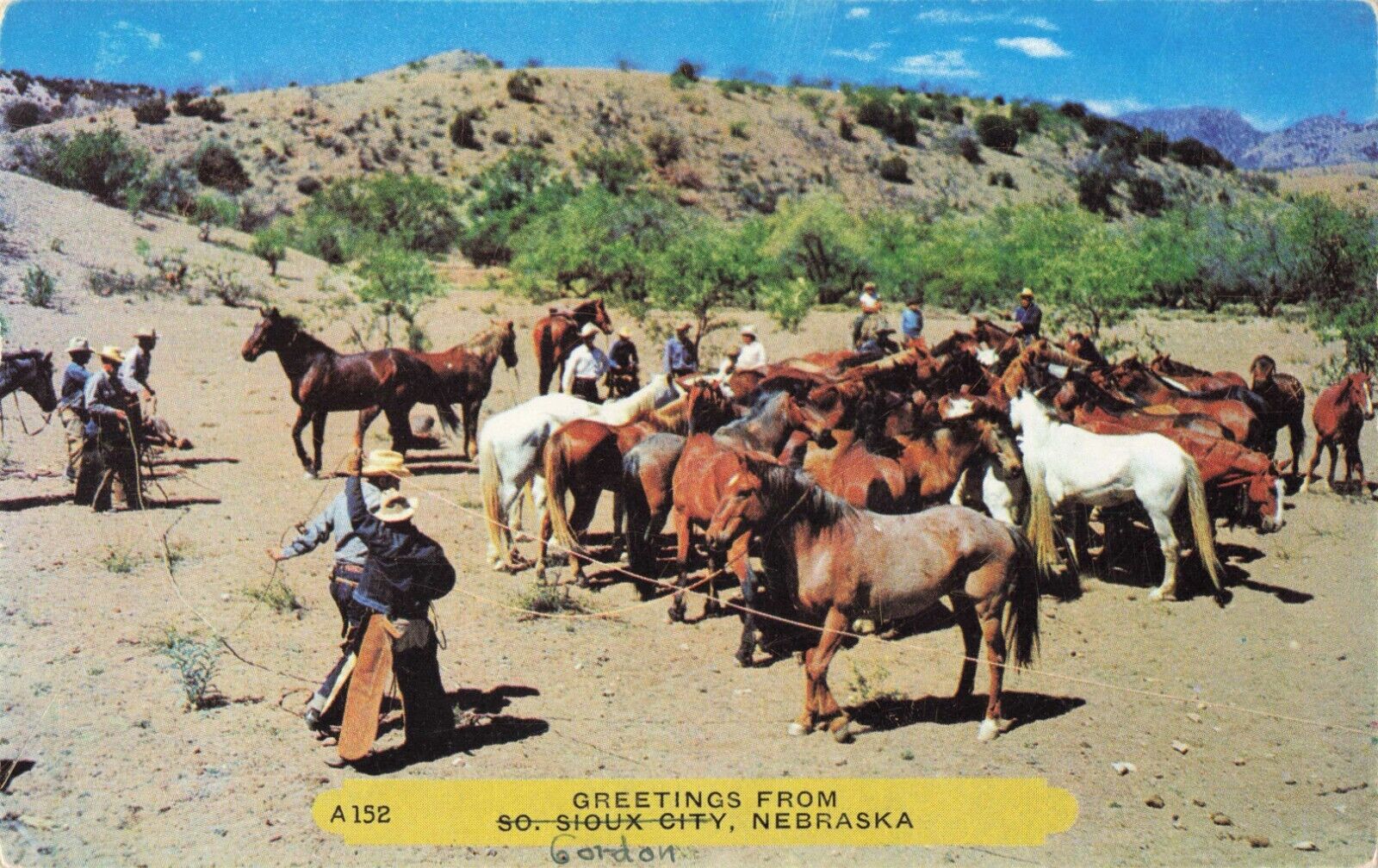 South Sioux City NE Nebraska, Cowboys Horses Desert Roundup, Vintage Postcard