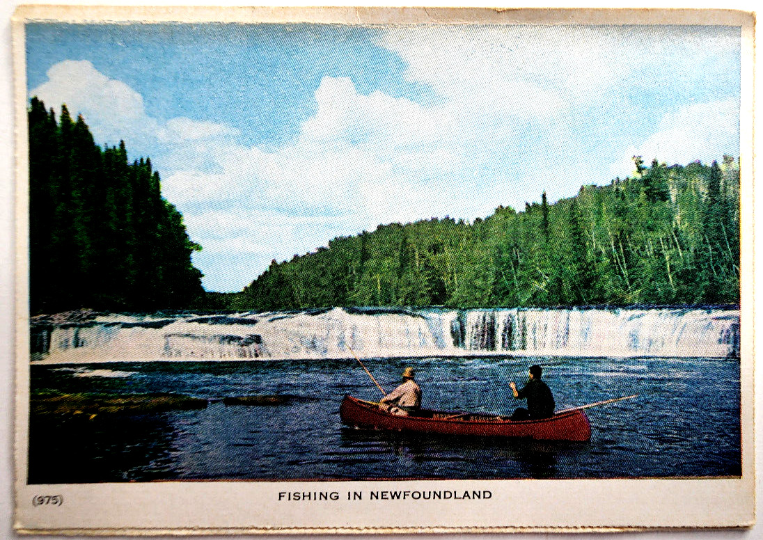 1953 - Two Men in a Canoe, Fishing in a River in Newfoundland CA Sports Postcard