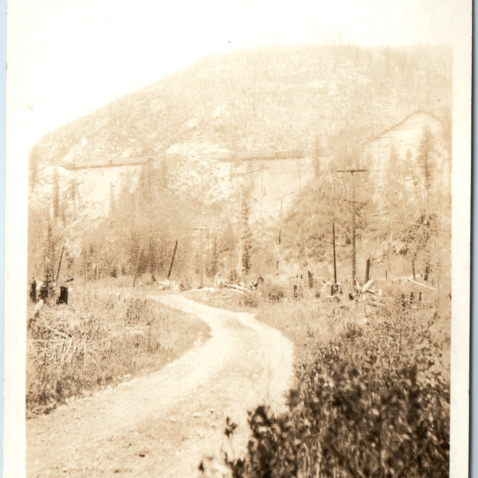 c1910s Outdoor Train RPPC Trail Railway Burned Trees Hillside Real Photo PC A251
