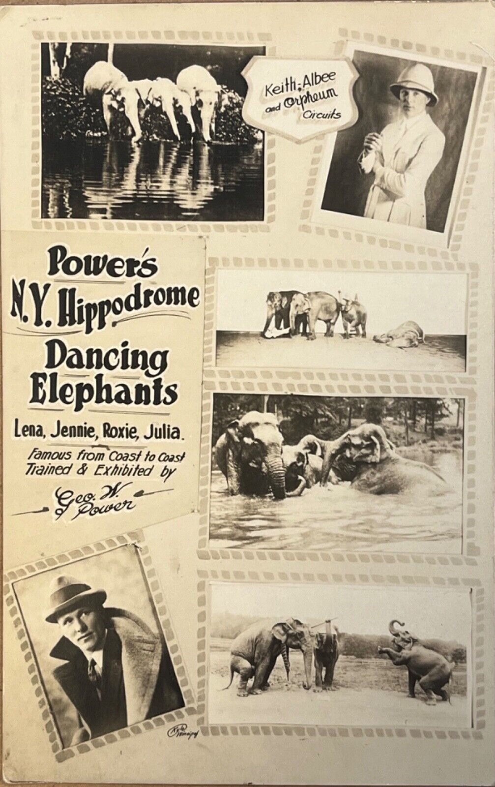 RPPC New York Powers Dancing Circus Elephants Antique Real Photo Postcard c1920