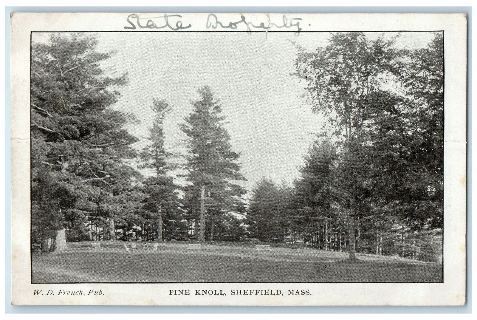 c1905\'s Pine Knoll Scene Sheffield Massachusetts MA Unposted Vintage Postcard