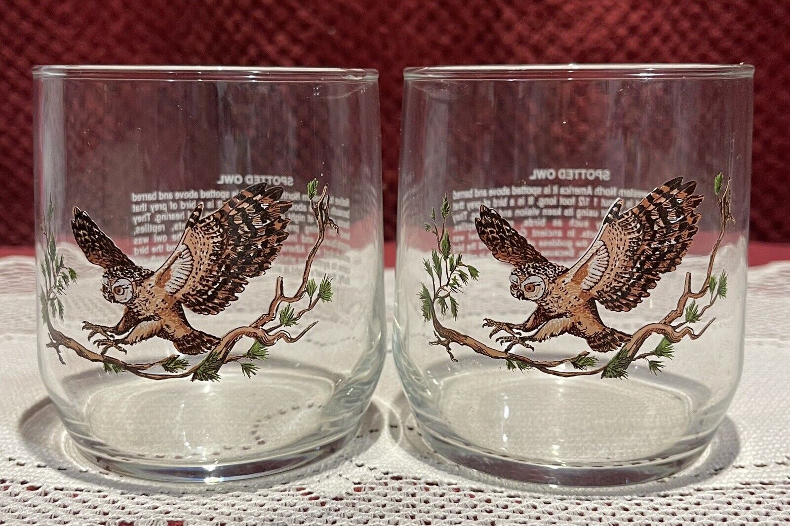 2-Vintage 90’s Libbey Sunoco American Wildlife “Spotted Owl” Drinking Glass