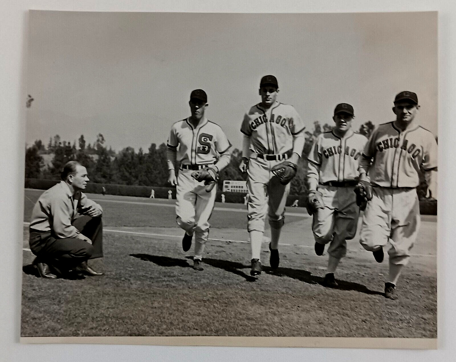 1942 Chicago White Sox Spring Training Pasadena California Vintage Press Photo