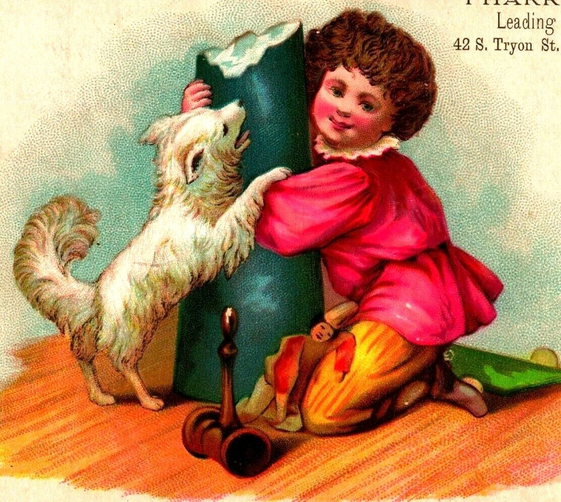 Victorian Trade Card Child Dog Toys Pharr & Long Clothiers Charlotte NC M10