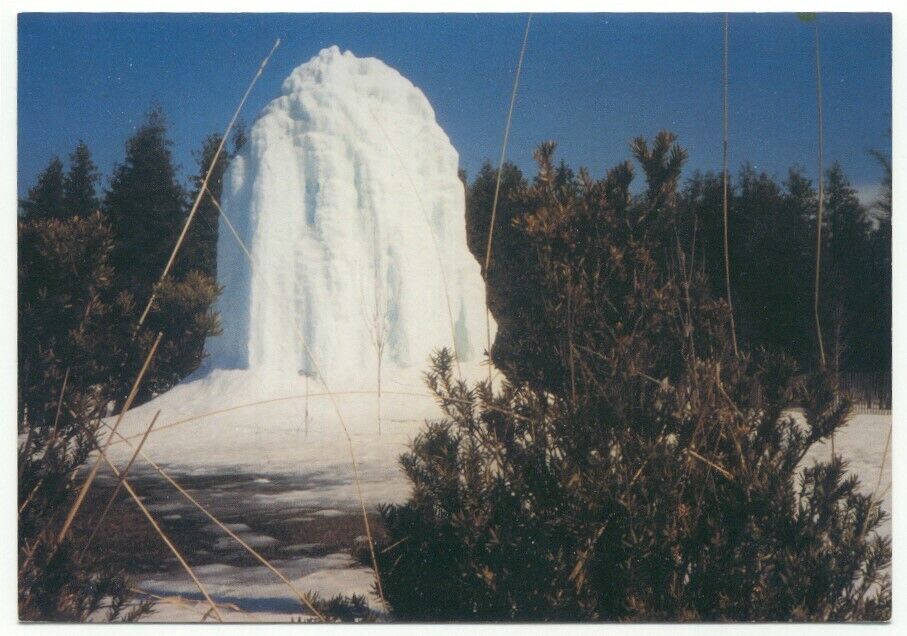 Alpena MI Famous Ice Tree Postcard Michigan