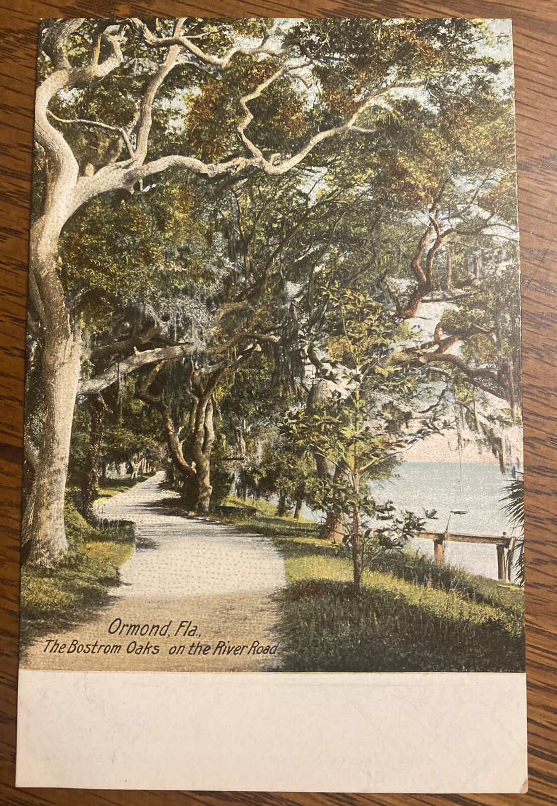 Postcard Ormond Florida The Bostrom Oaks on the River Road - Hugh C Leighton Co.