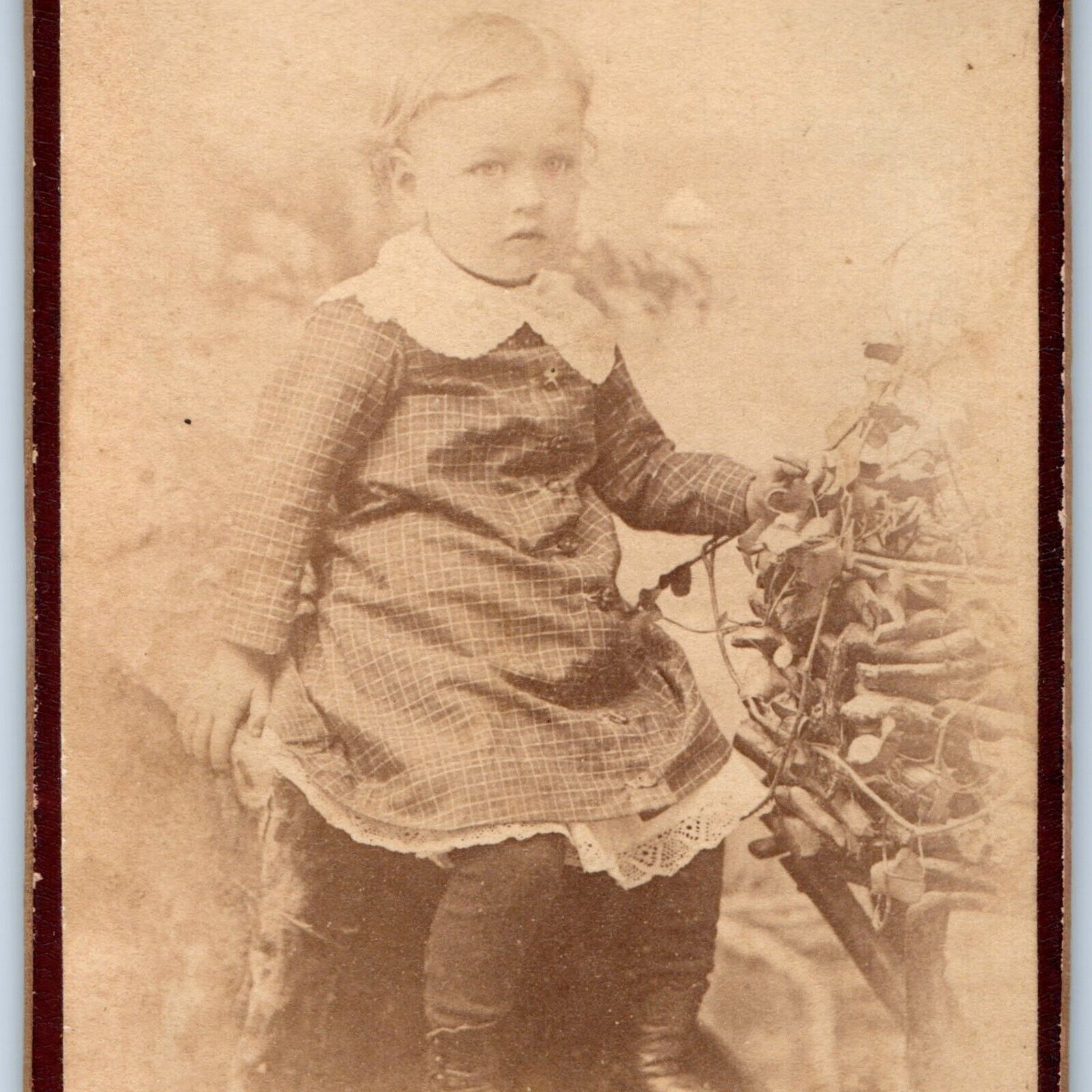 c1870s Cute Little Boy or Girl Dress CdV Photo Card Wood Branch Prop Antique H27