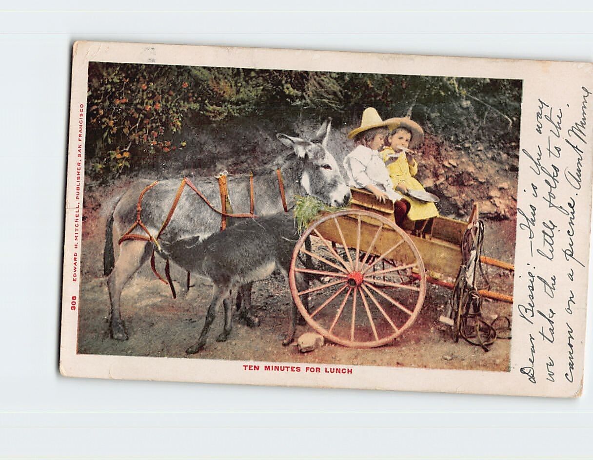 Postcard Ten Minutes for Lunch Two Kids & Two Donkeys Eating