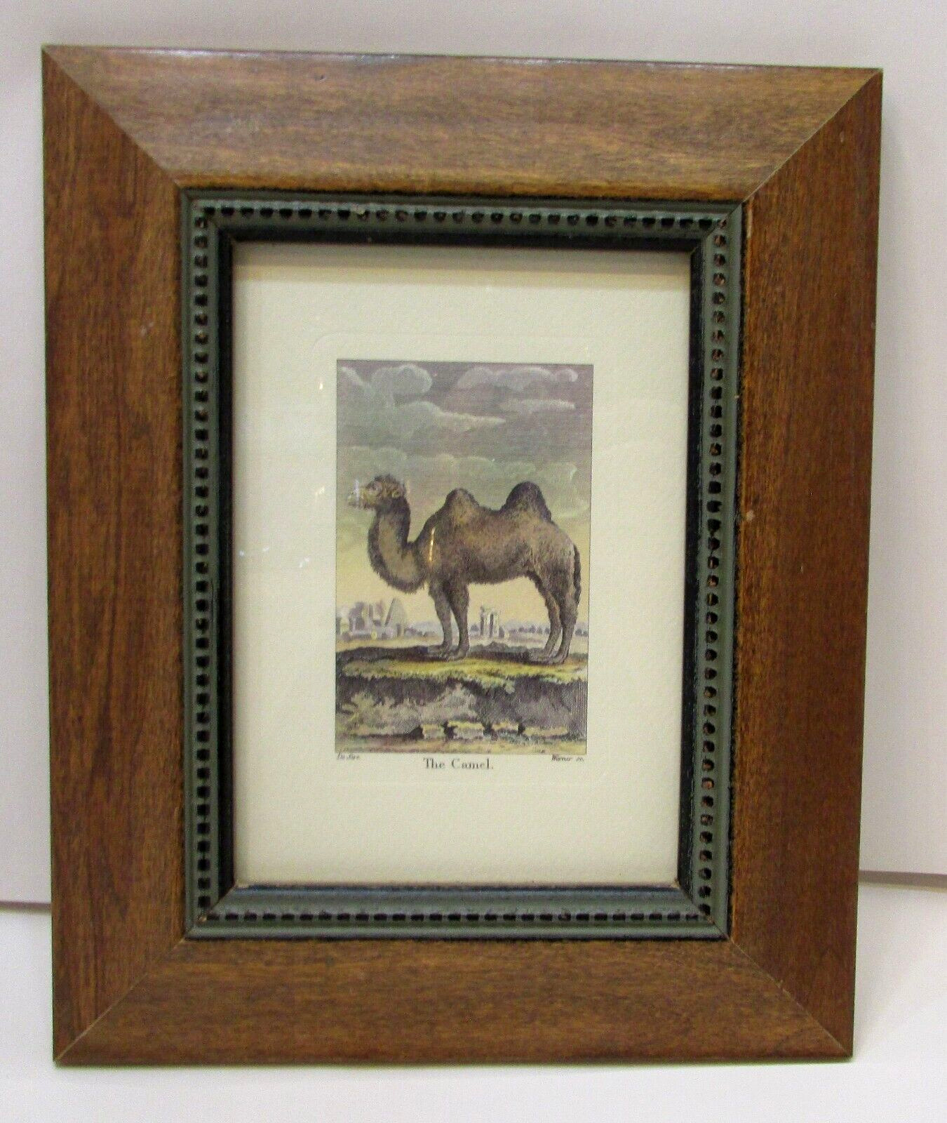 The Camel De Sere Warner Vintage Print Under Glass Wood Framed 8.75\