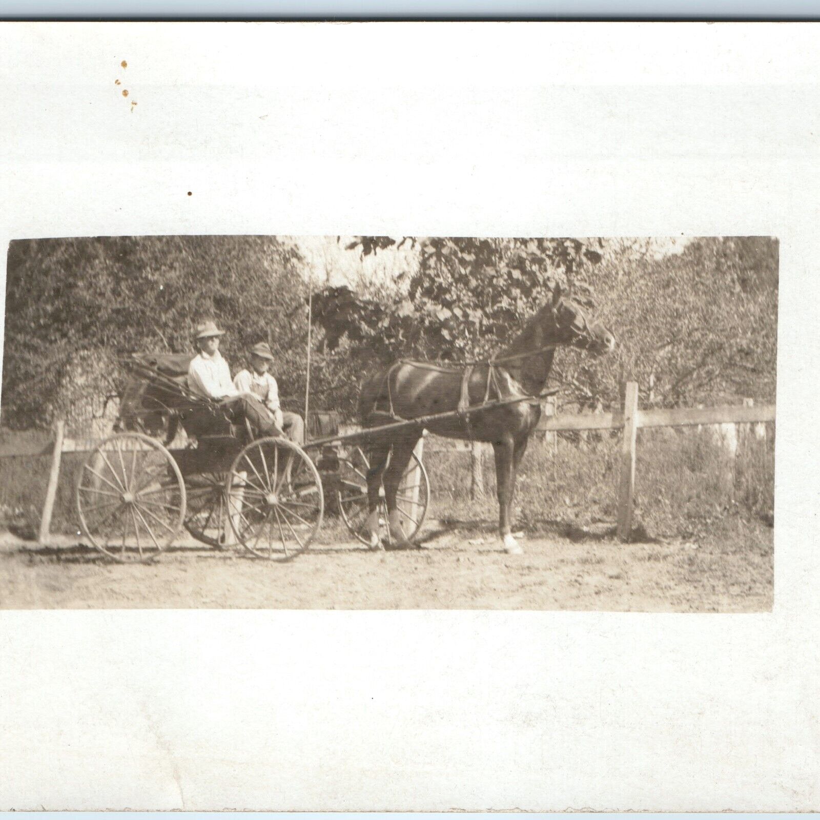 c1910s Horse Carriage Men RPPC Outdoor Farm Overalls Workers Sunny Photo A255