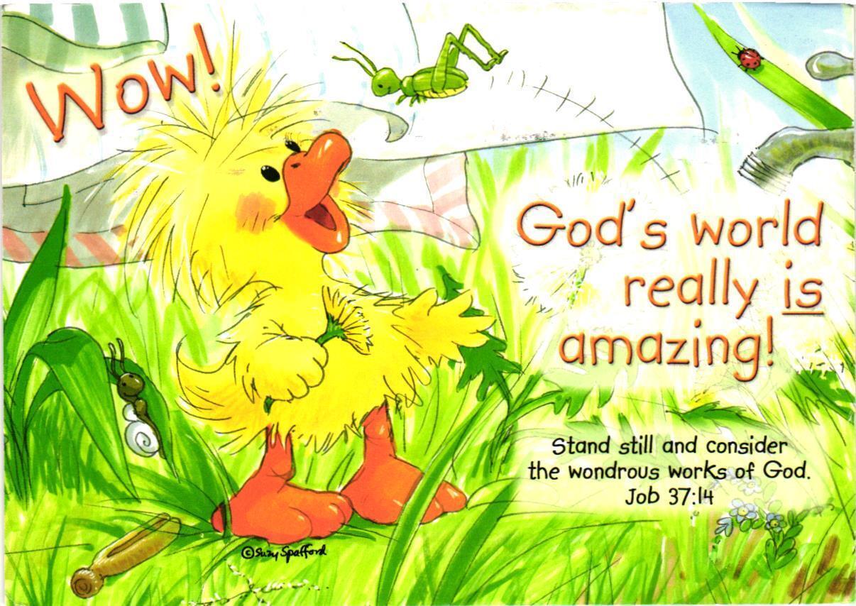 Wow God\'s World Really Is Amazing - Duck Postcard
