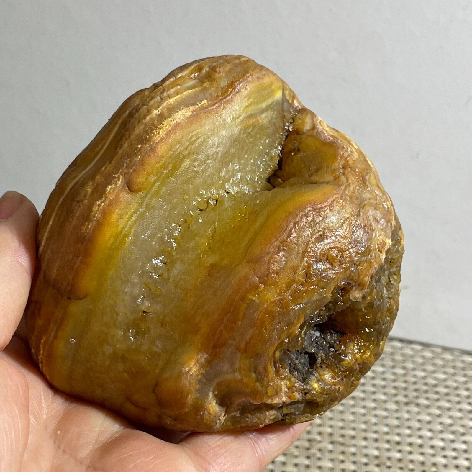 Bonsai Suiseki-Natural Gobi Agate Eyes Stone-Rare Stunning Viewing 624g h2512