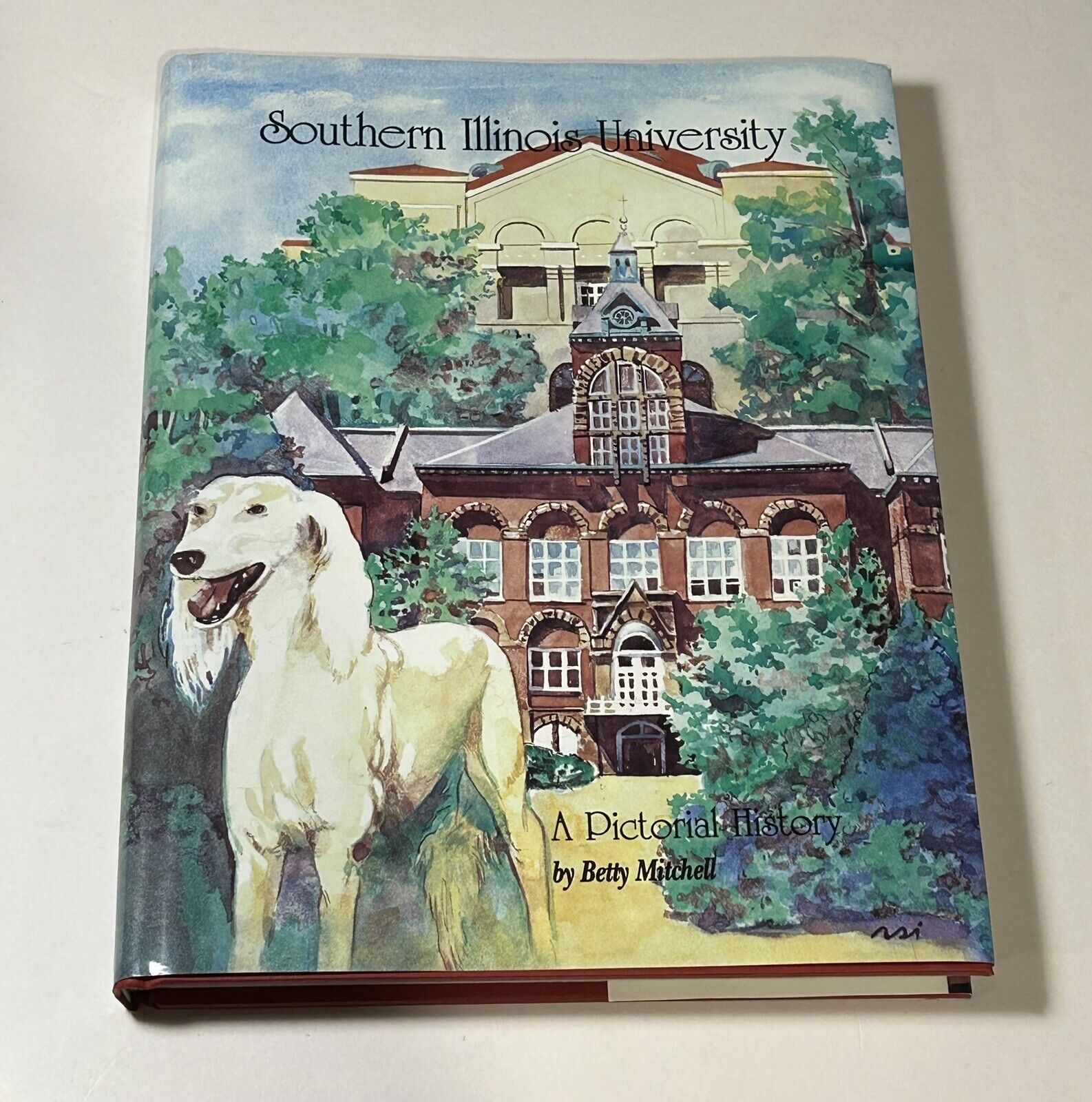 Southern Illinois University SIU A Pictorial History Carbondale IL Illinois