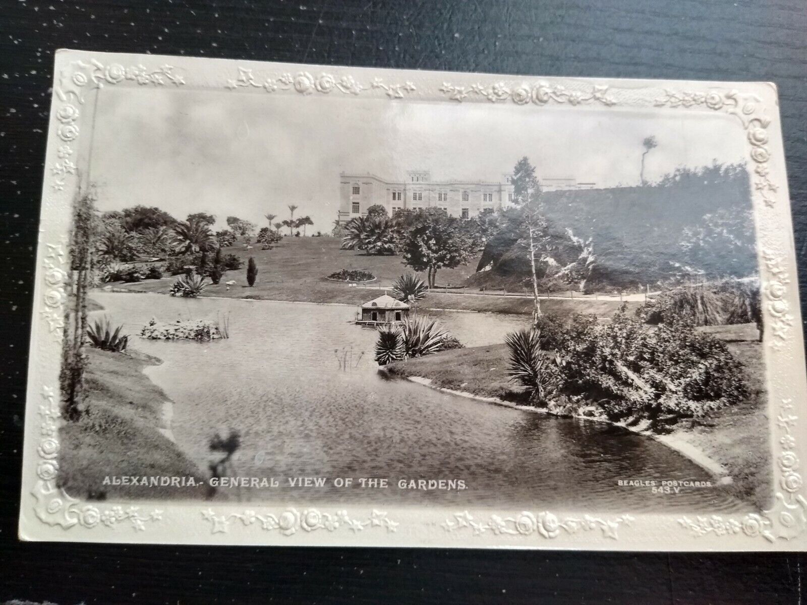 1919 View Of The Gardens Alexandria Egypt Beagles And Co. RPPC Photo Postcard