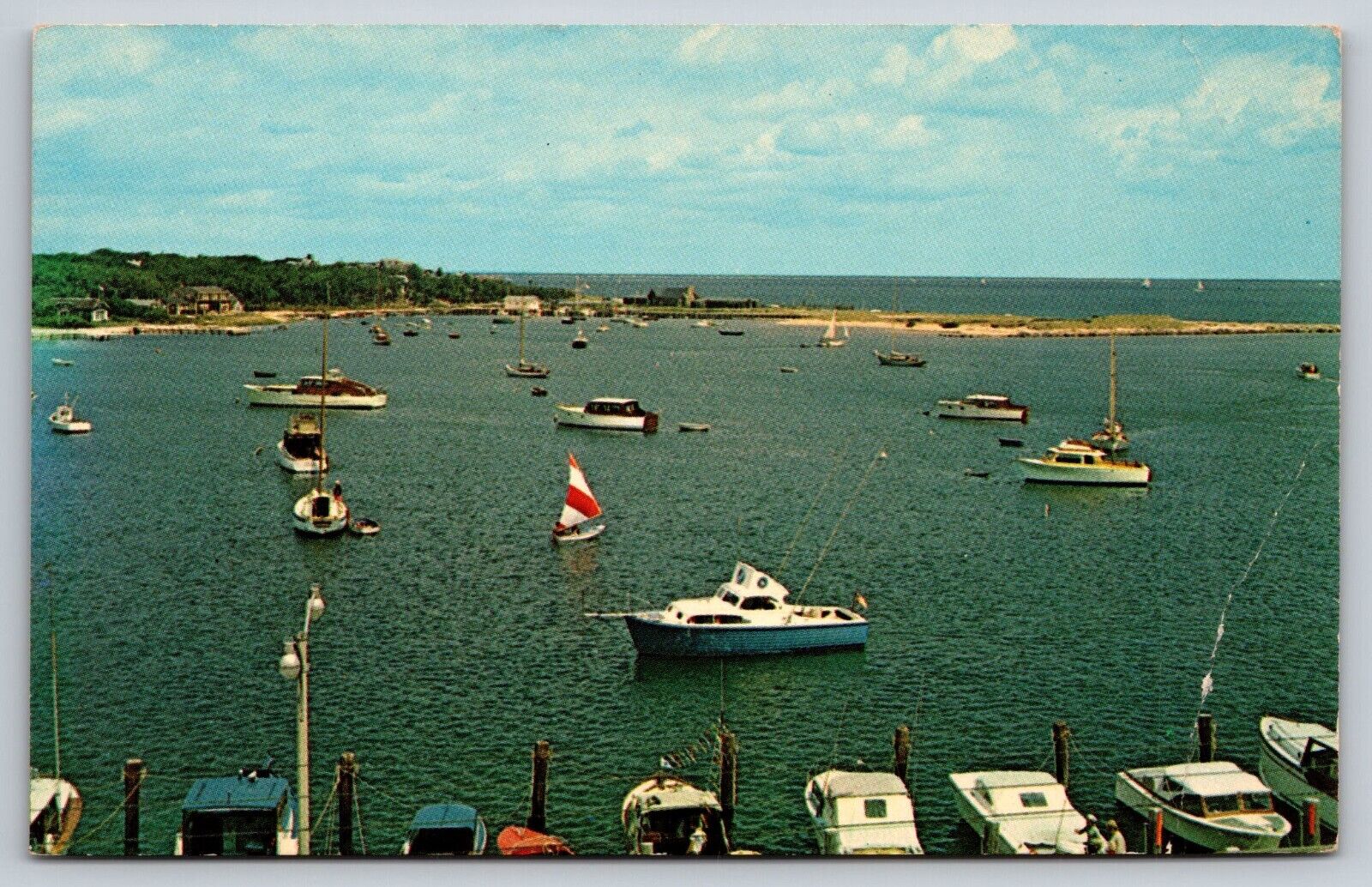 Postcard Massachusetts Oak Bluffs Harbor 13C