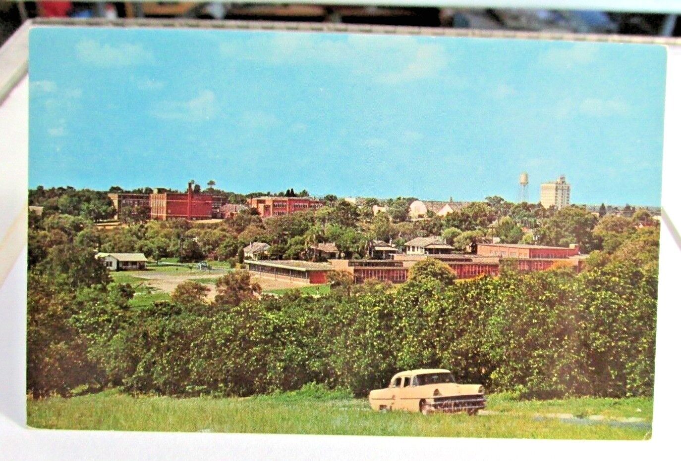 1950s LAKE WALES FLORIDA FL Postcard Overlooking Lake Wales Town View 1950s auto