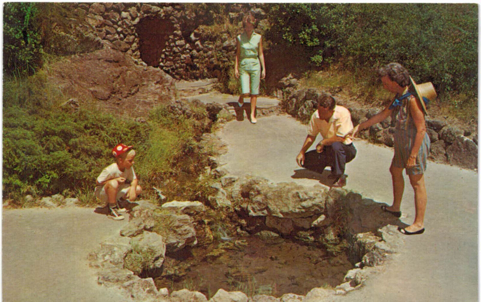 Hot Springs, Arkansas 1960s Vintage Postcard - Thermal Water Display Spring