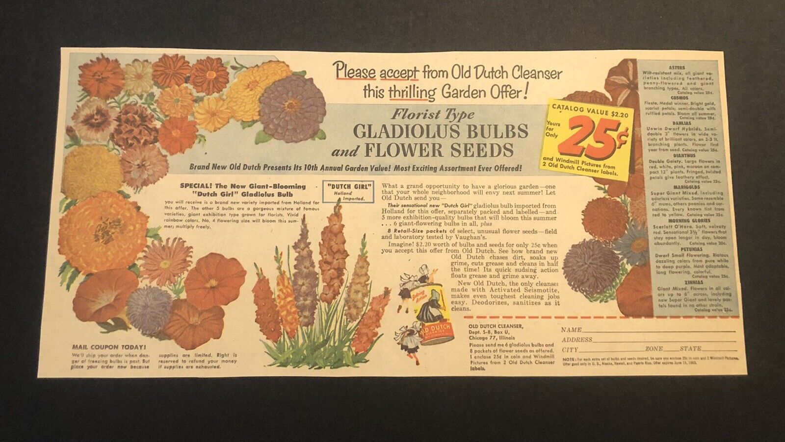 1950’s Old Dutch Flower Seeds Comic Newspaper Ad