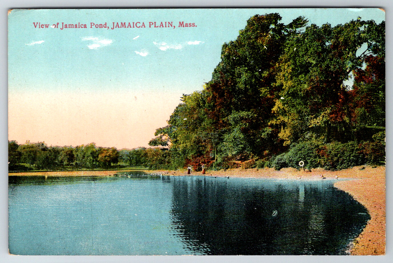 c1910s View of Jamaica Pond Plain MA Antique Postcard