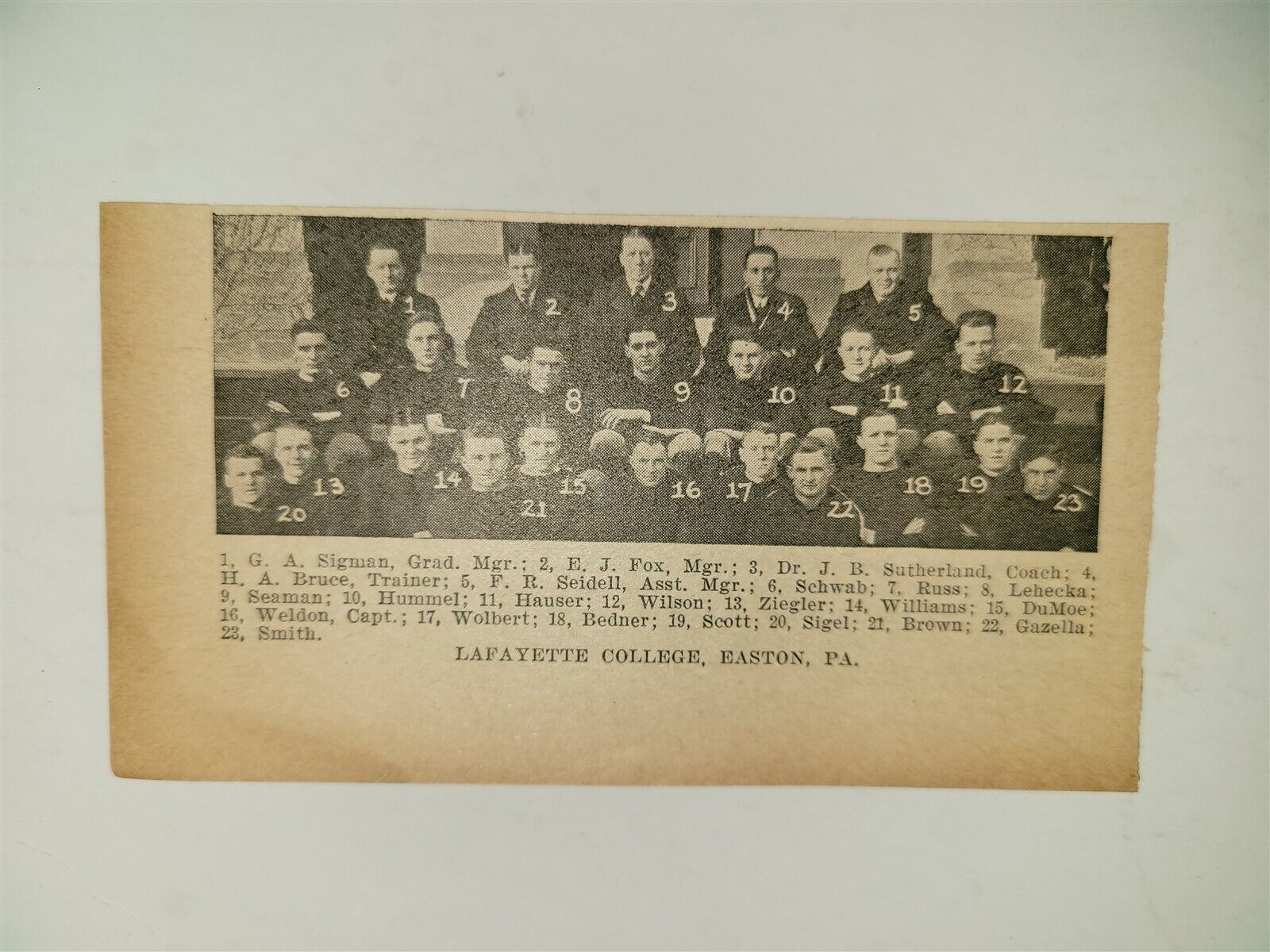Lafayette College Easton Pennsylvania 1919 Football Team Picture