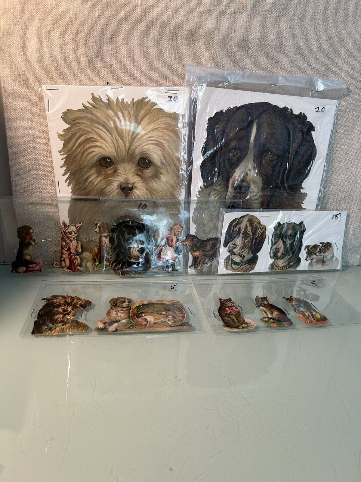 Antique Victorian Dog Puppy Cat Die Cut Lot of 17 All In Protective Covers NICE