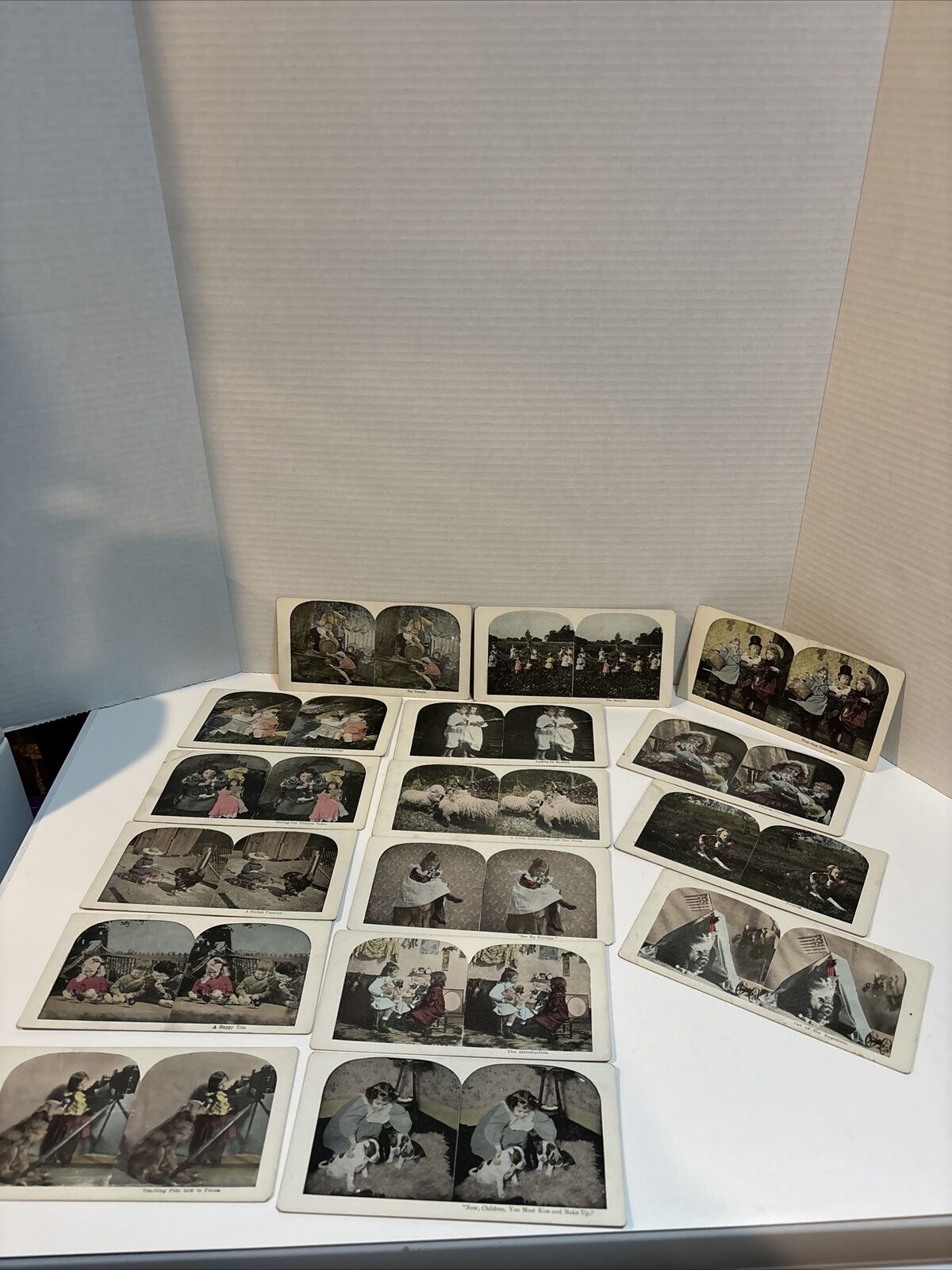 Lot of 16 Stereoview Cards, Children, Pets