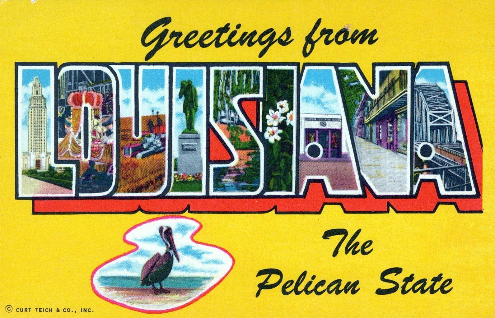 Greetings From Louisiana The Pelican State Vintage Chrome Post Card