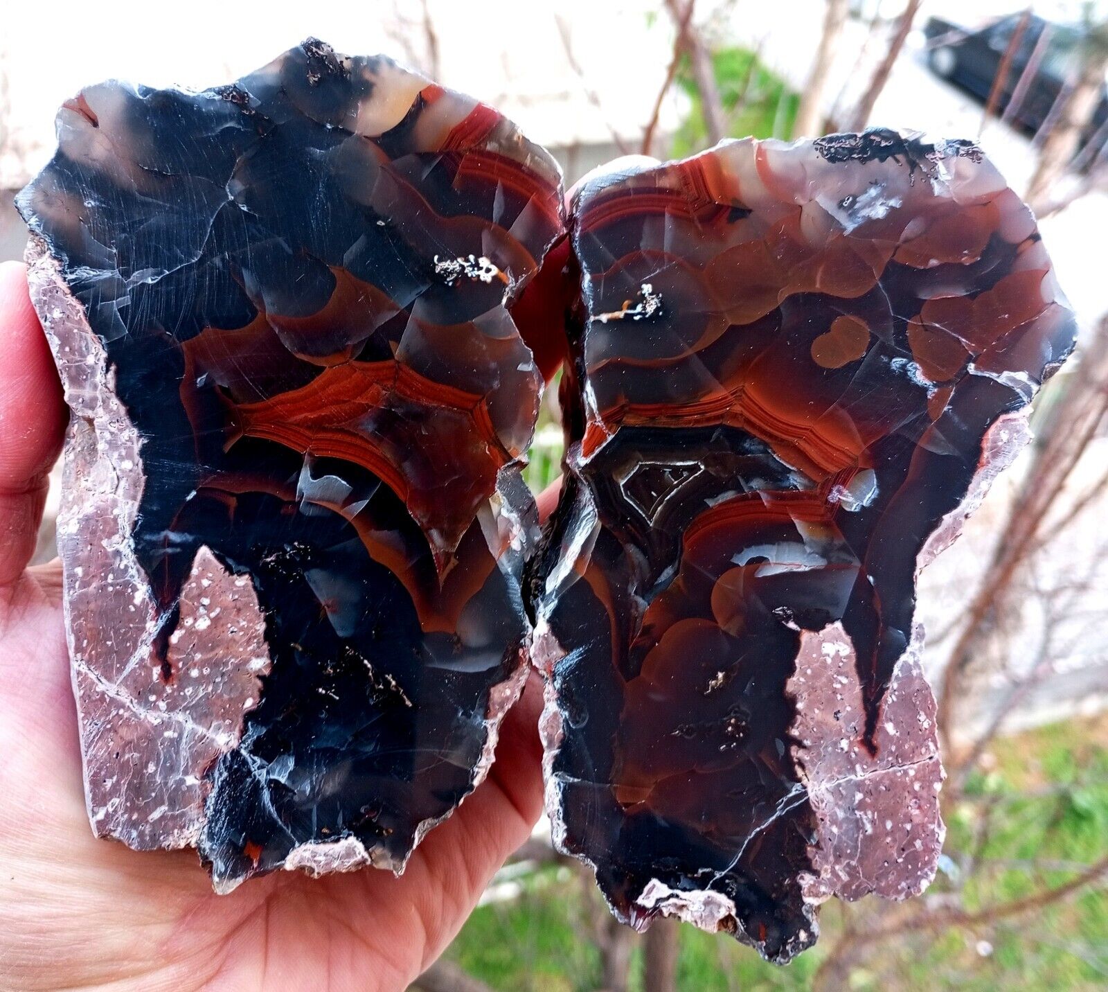 Polished Extremely Rare Turkish Red Fox Thunderegg Agate Pair Uv Fluorescent