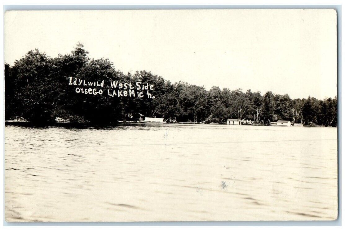 1914 West Side Of Otsego Lake Idlewild Michigan MI RPPC Photo Posted Postcard