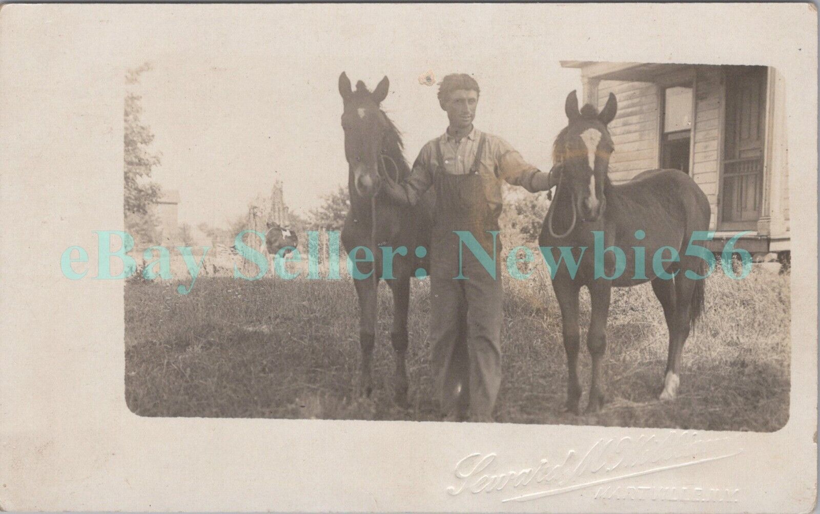 Martville NY - MAN ON FARM W/ HORSES - RPPC Postcard nr Hannibal Oswego County