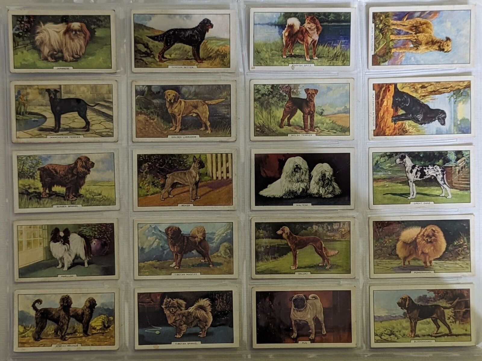 1936 Gallaher Ltd. Cigarettes Dogs 2nd Series Of 48 Cards Complete