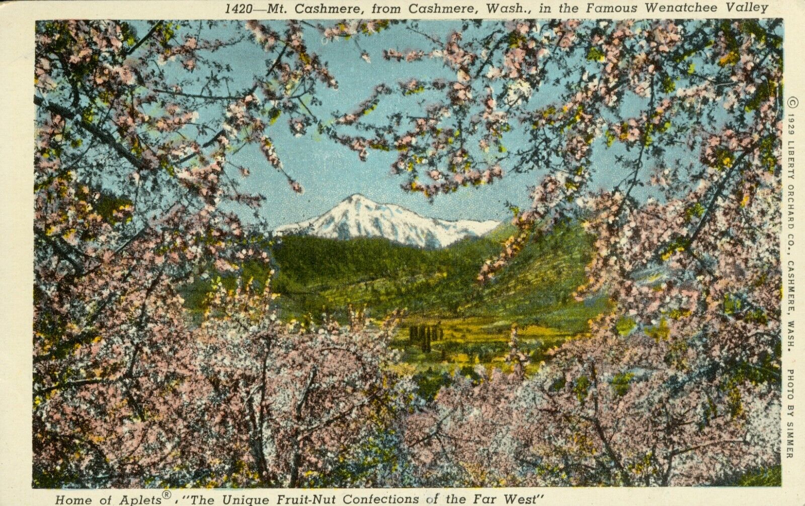Vtg Postcard Mt. Cashmere Wash Wenatchee Valley Home of Aplets