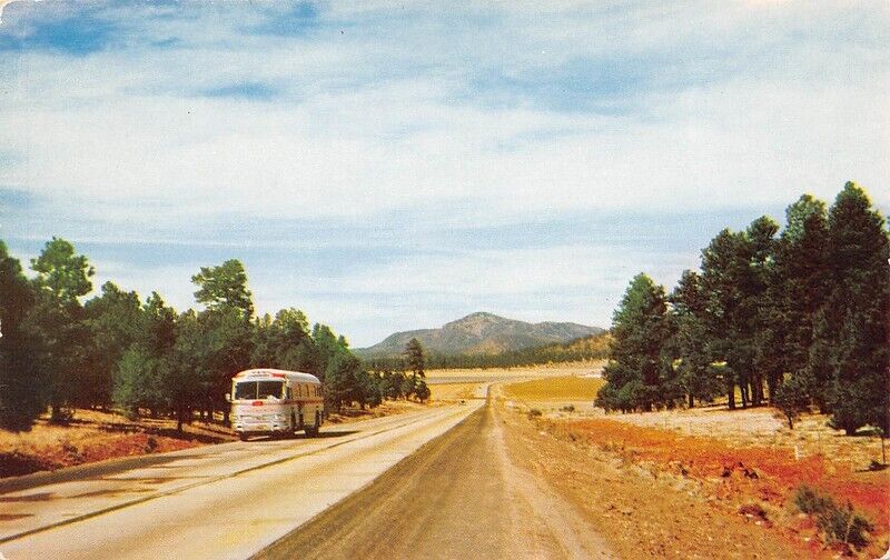 US Hwy 66 Williams Flagstaff Bill Williams Mountain Route