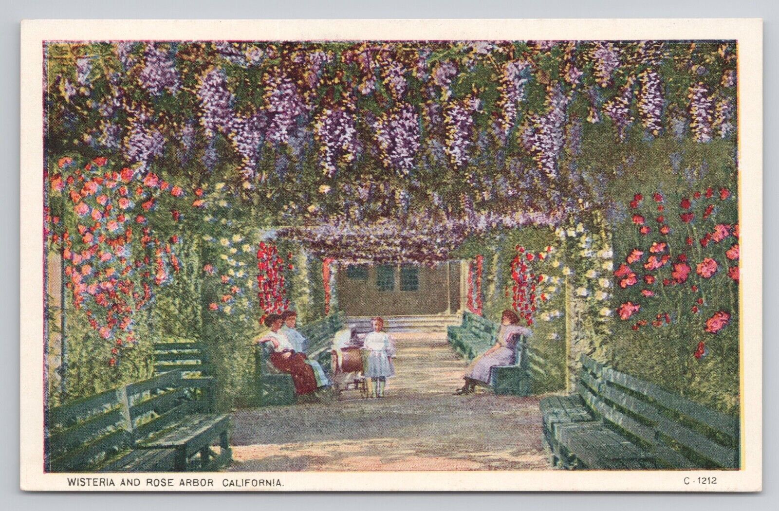 Postcard Wisteria And Rose Arbor California
