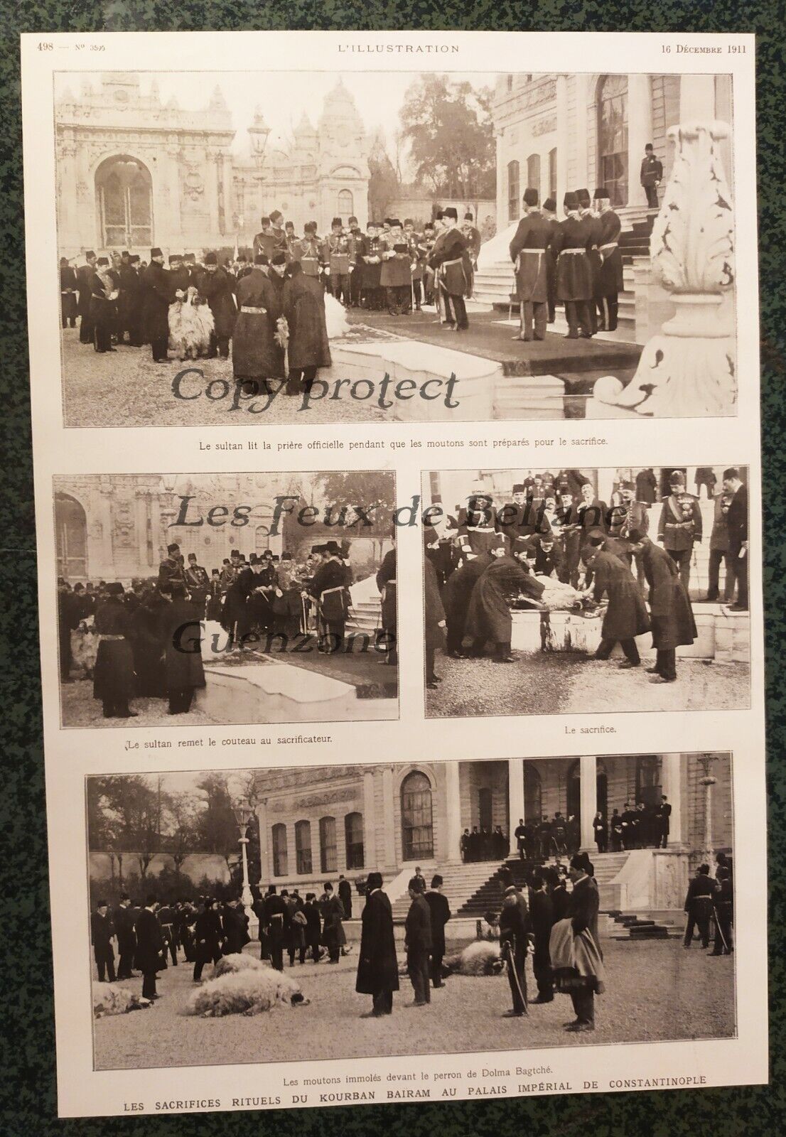 KOURBAN BAIRAM CONSTANTINOPLE 1911 RITUAL SACRIFICES photo document clipping