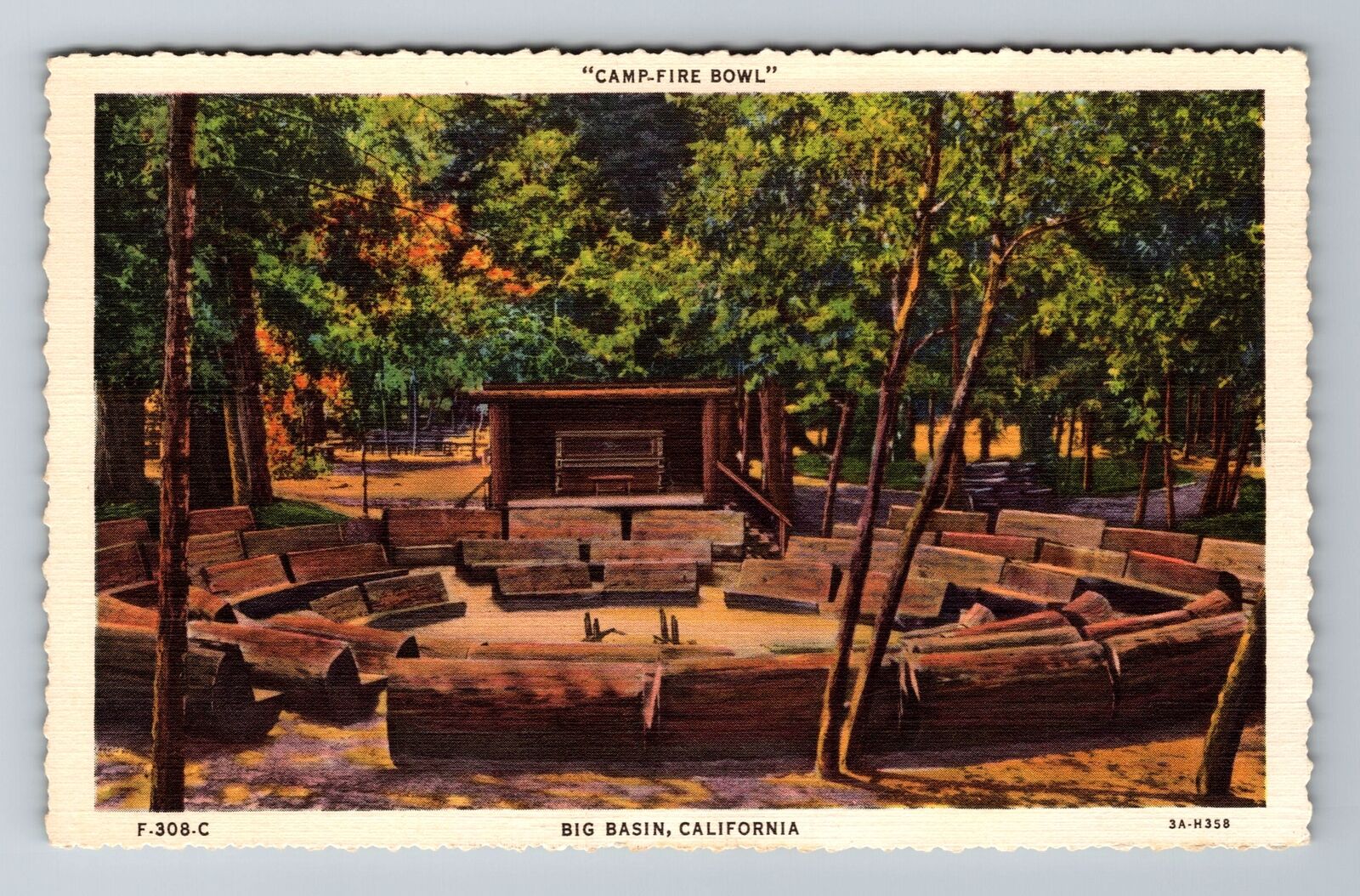 Big Basin CA-California, Camp-Fire Bowl Amphitheatre, Antique Vintage Postcard