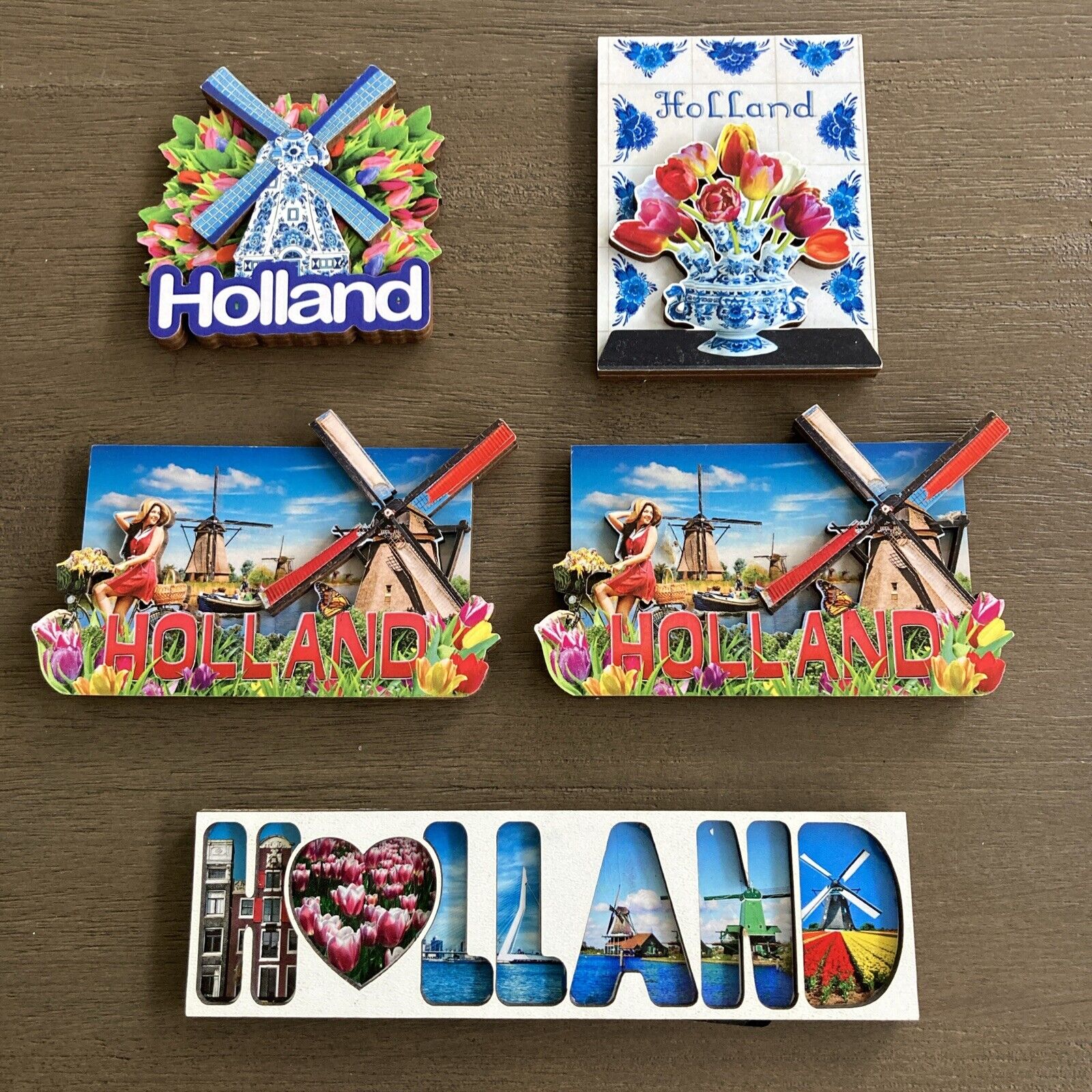 Lot of 5 Holland Souvenir Fridge Magnets