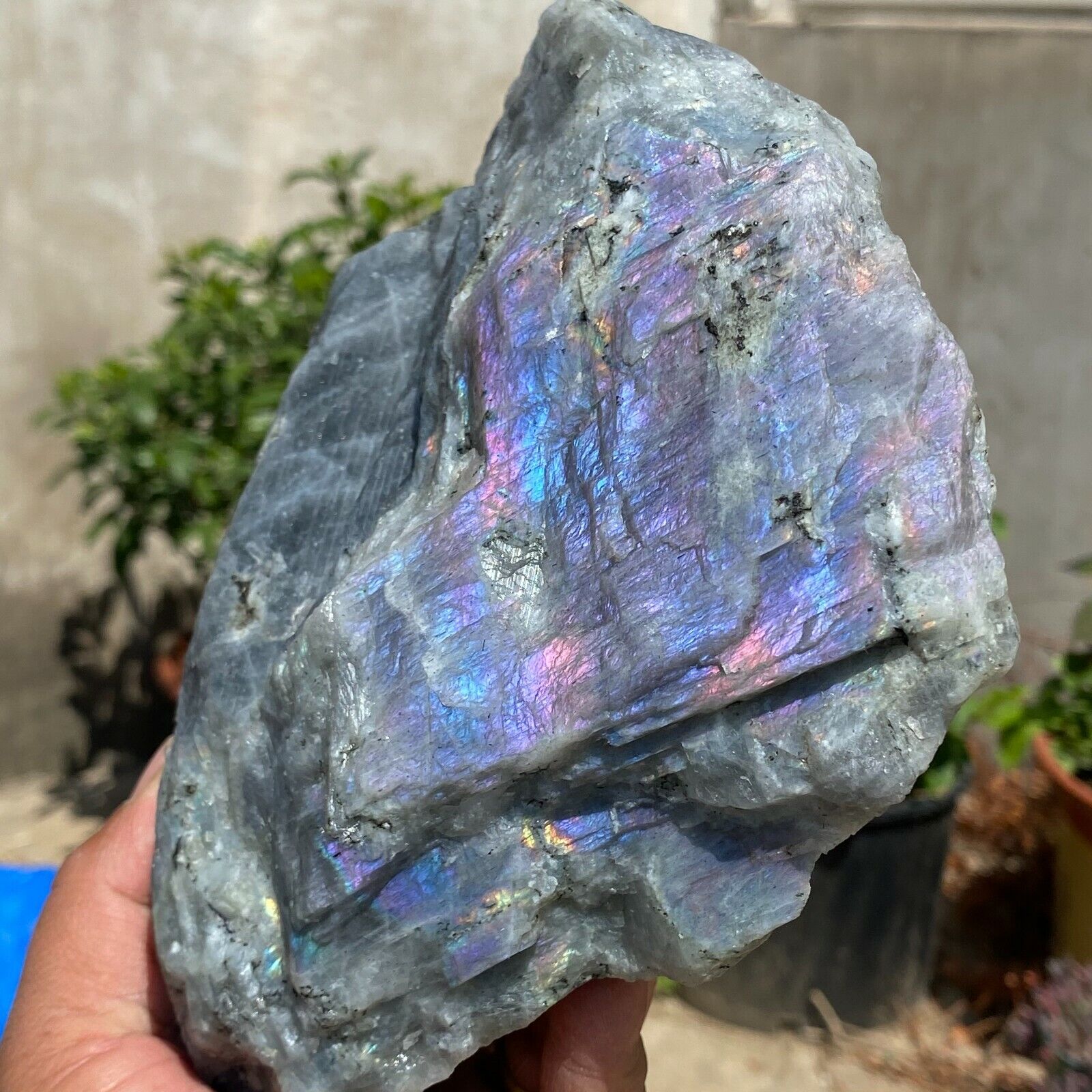 2520g Large Raw Dark Purple Flash Labradorite Natural Crystal Gemstone Specimen