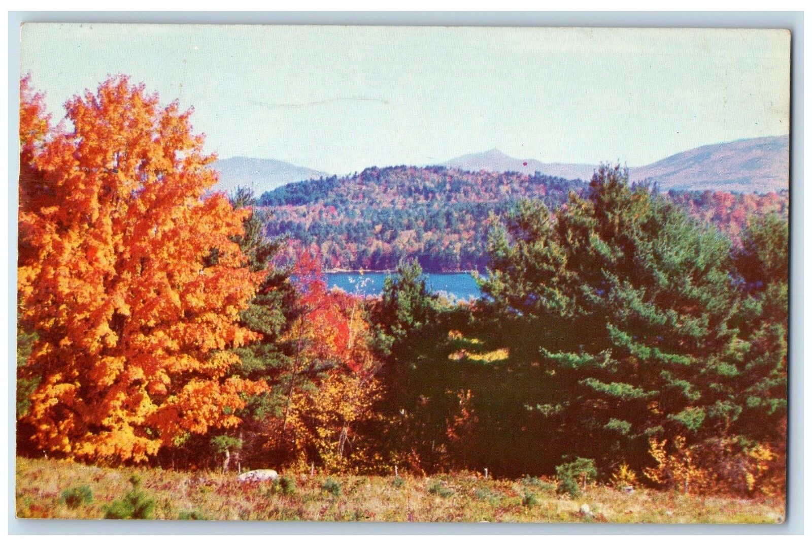 1957 Greetings From Pottsville Trees Scene Pennsylvania PA Posted Sky Postcard