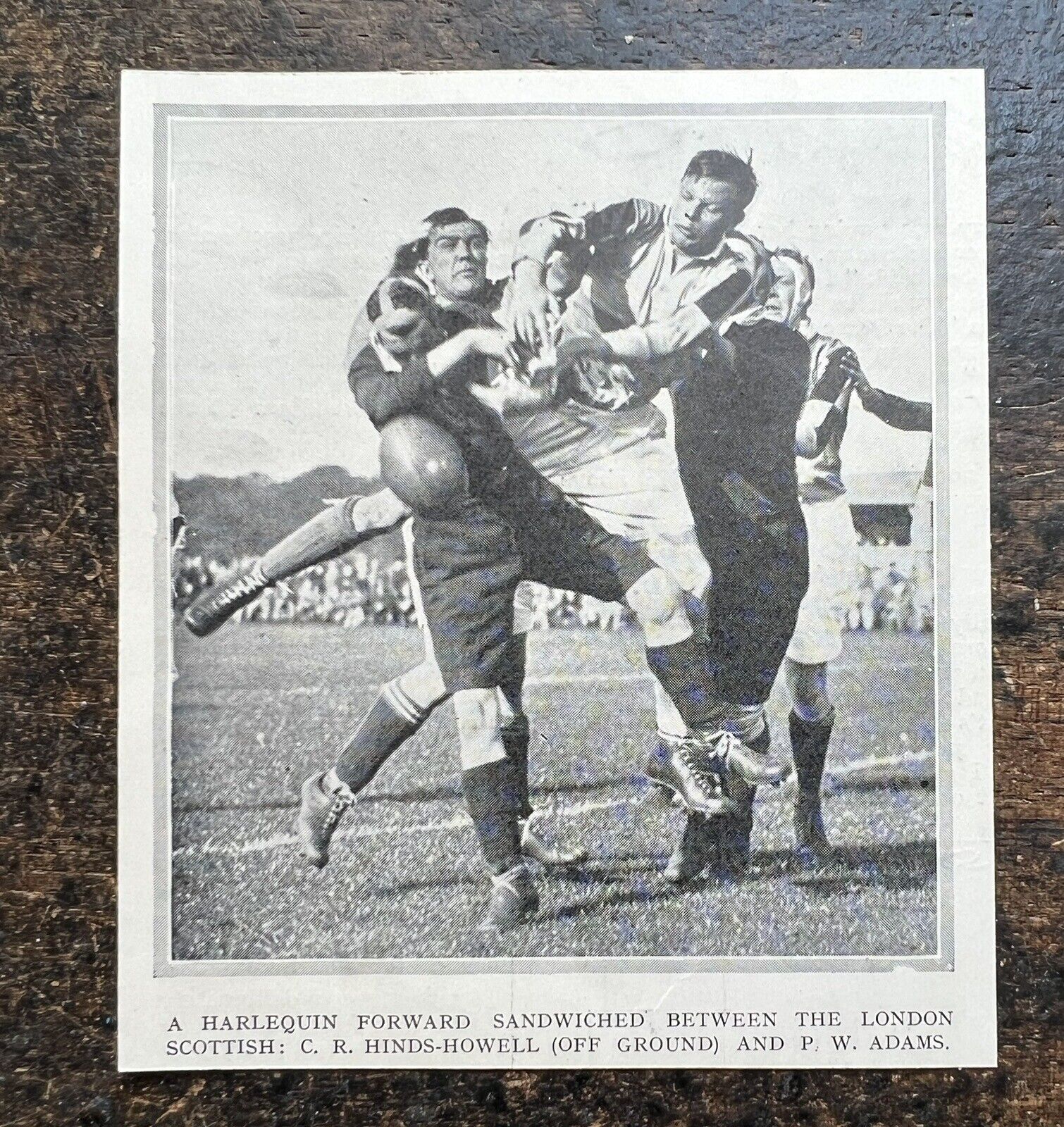 Rugby - Harlequins v London Scottish - 1931 Press Cutting r451