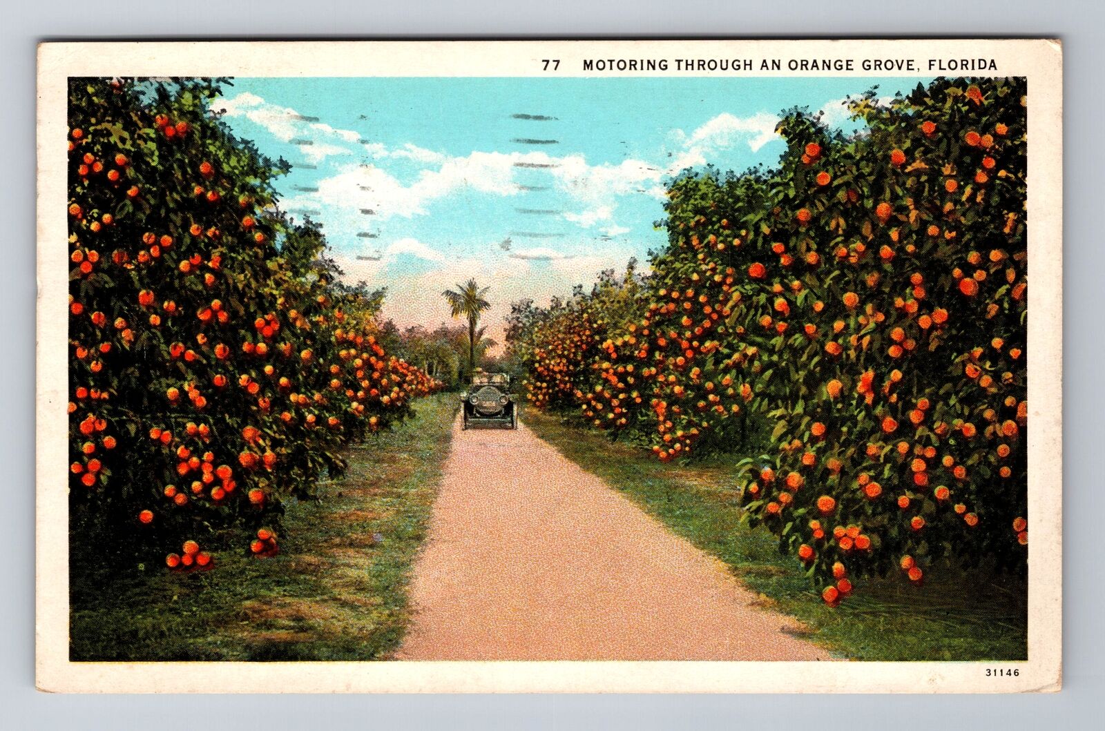 Motoring Through An Orange Grove In Florida, Antique, Vintage c1931 Postcard